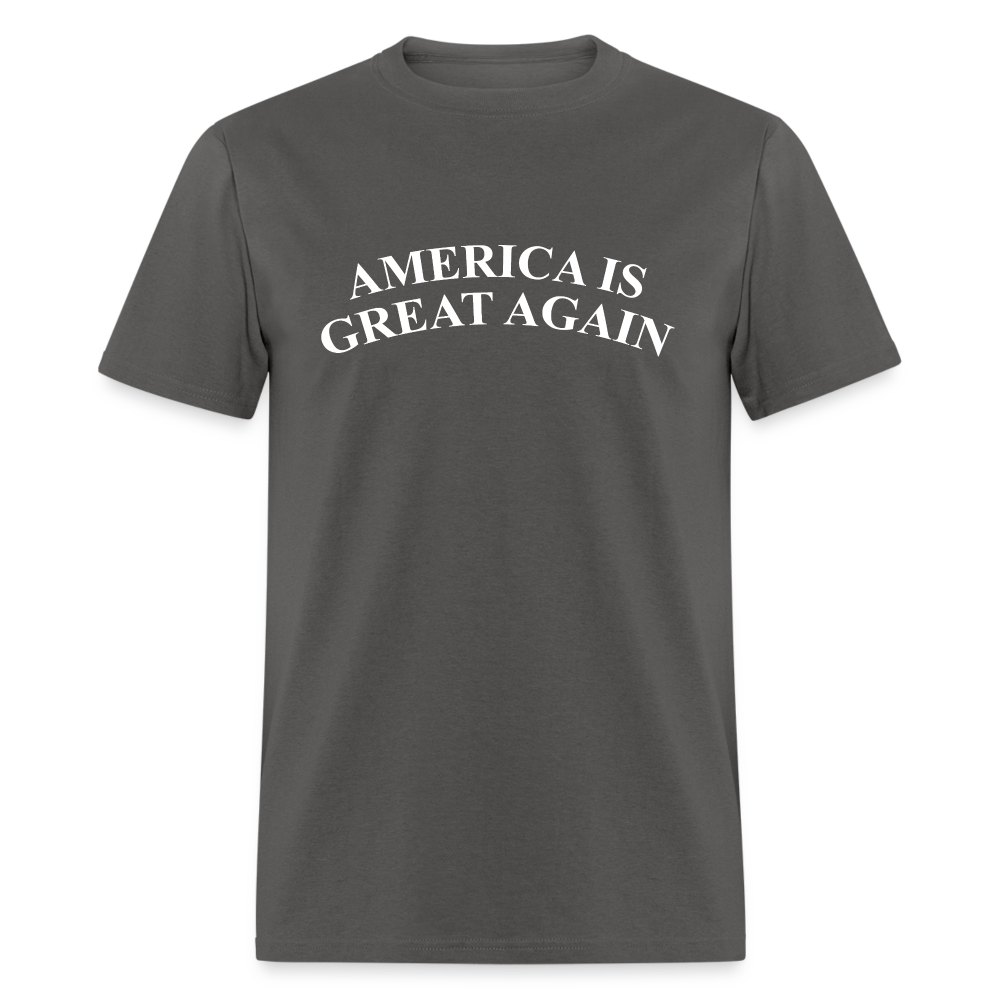 America Is Great Again Unisex Classic T-Shirt - charcoal