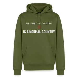 All I Want for Christmas Is a Normal Country Men’s Premium Hoodie - khaki green 