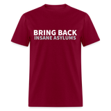 Bring Back Insane Asylums Classic T-Shirt - burgundy