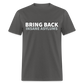 Bring Back Insane Asylums Classic T-Shirt - charcoal