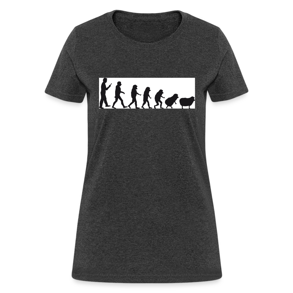 Evolution to sheep Women's T-Shirt - heather black