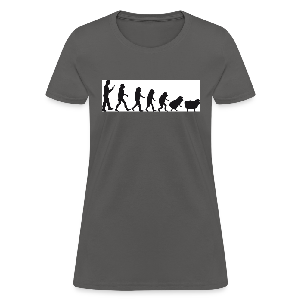 Evolution to sheep Women's T-Shirt - charcoal