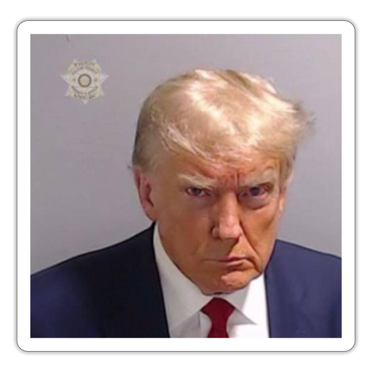 Trump's Mugshot Sticker - white matte