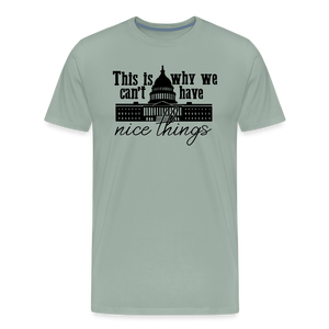 This Is Why We Can't Have Nice Things Men's Premium T-Shirt - steel green