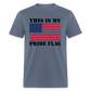 This Is My Pride Flag NEW 2024 Unisex Classic T-Shirt - denim