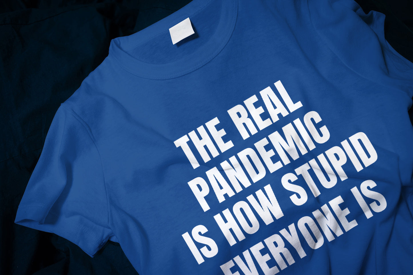 The Real Pandemic Is How Stupid Everyone Is Classic T-Shirt