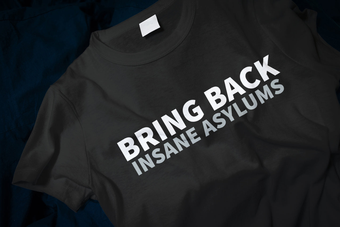 Bring Back Insane Asylums Classic T-Shirt