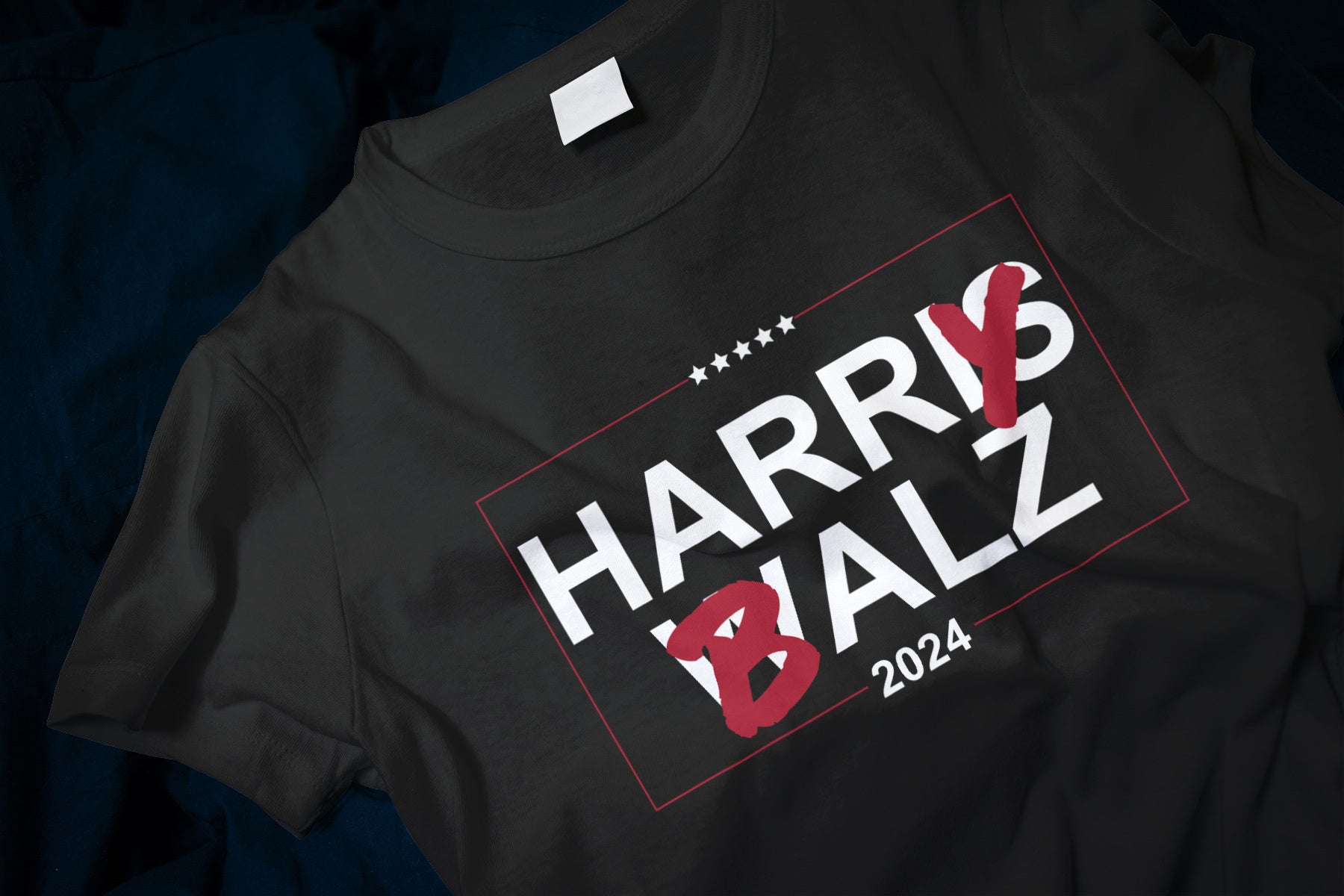 Harry Balz 2024 Funny Classic T-Shirt