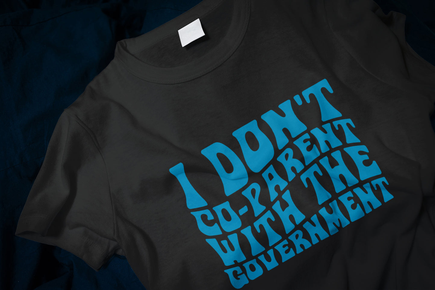 I Don't Co-parent With the Government Classic T-Shirt