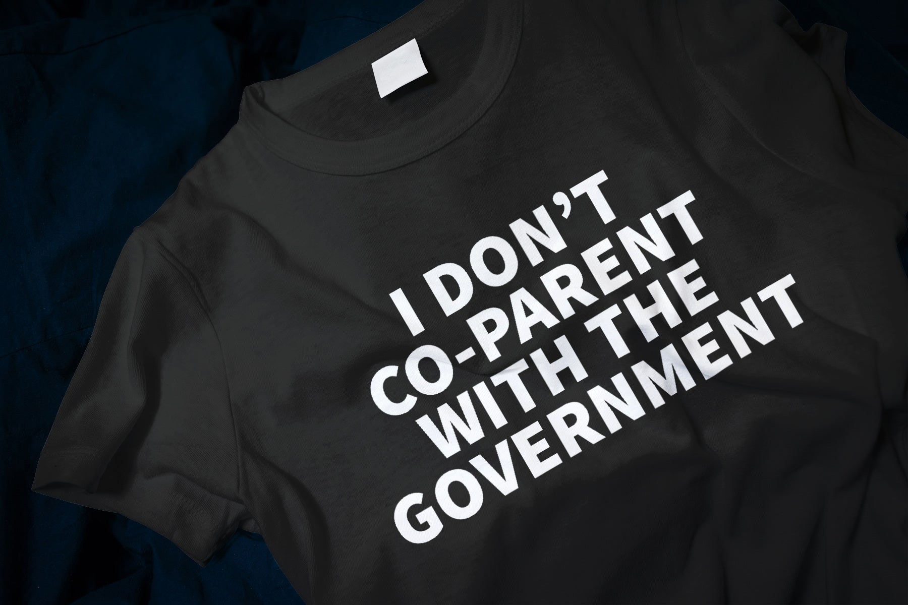 I Don't Co-Parent With The Government Classic T-Shirt