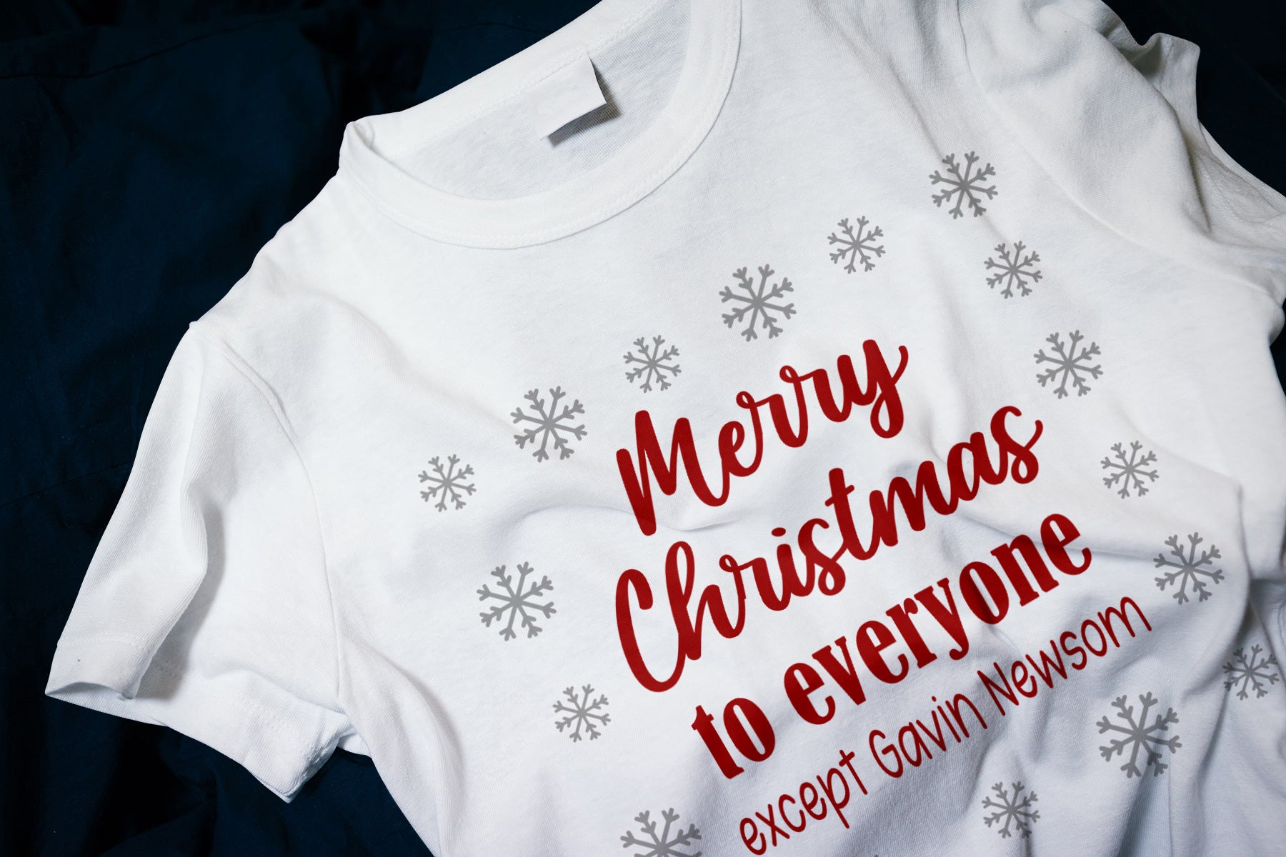 Merry Christmas to Everyone EXCEPT GAVIN NEWSOM Classic T-Shirt