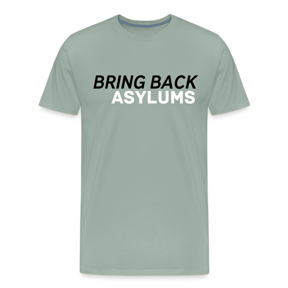 Bring Back Asylums Men's Premium T-Shirt - steel green