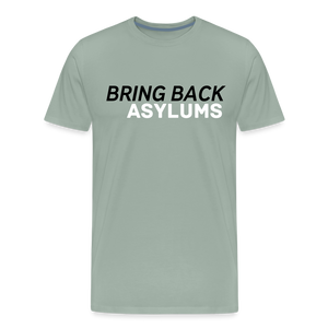 Bring Back Asylums Men's Premium T-Shirt - steel green